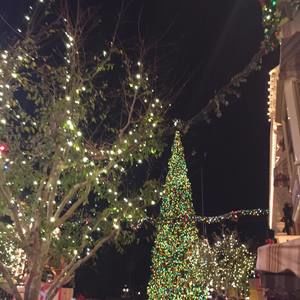 Meet your Posher, Dat